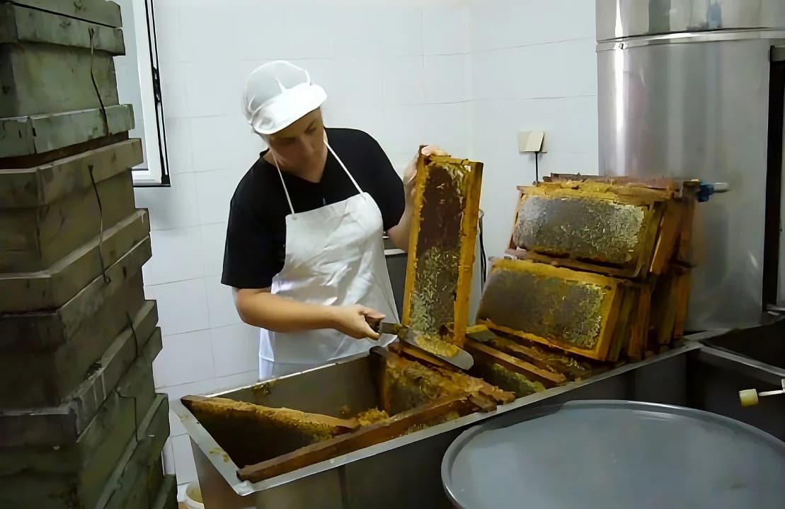 Obrador de Mas Entreserra