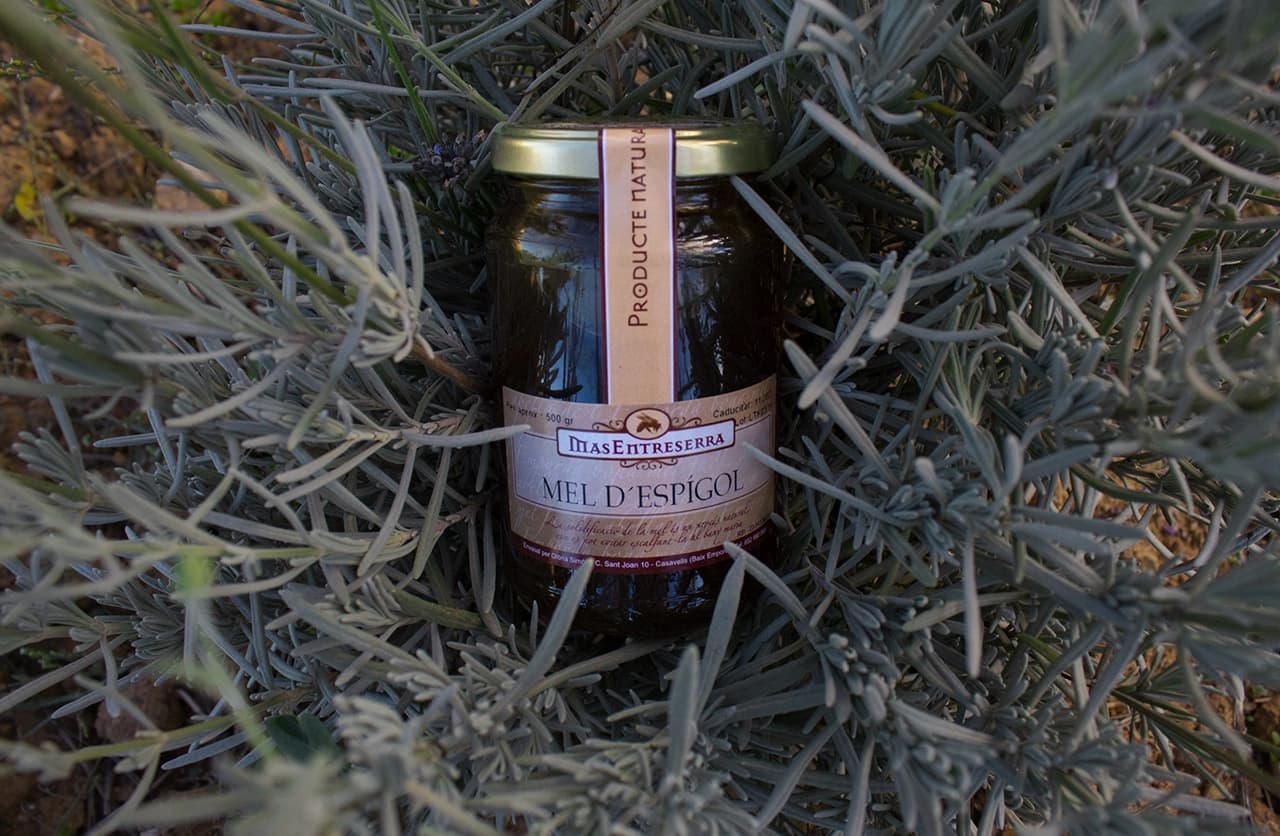 Foto mel d'espigol Mas Entreserra